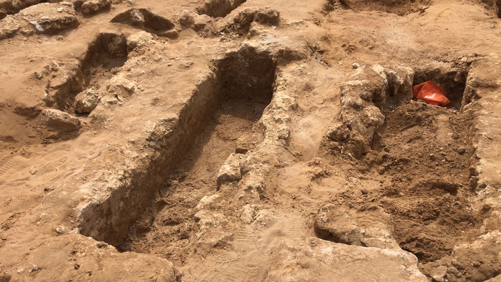 WhatsApp Image 2020-06-17 at 9.30.50 AM (2).jpeg.jpeg